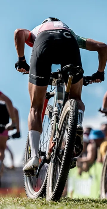 MTB26 Disciplinas