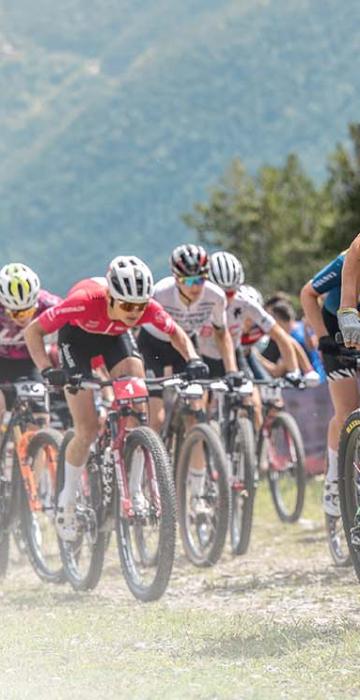 Galeria de imagenes MTB