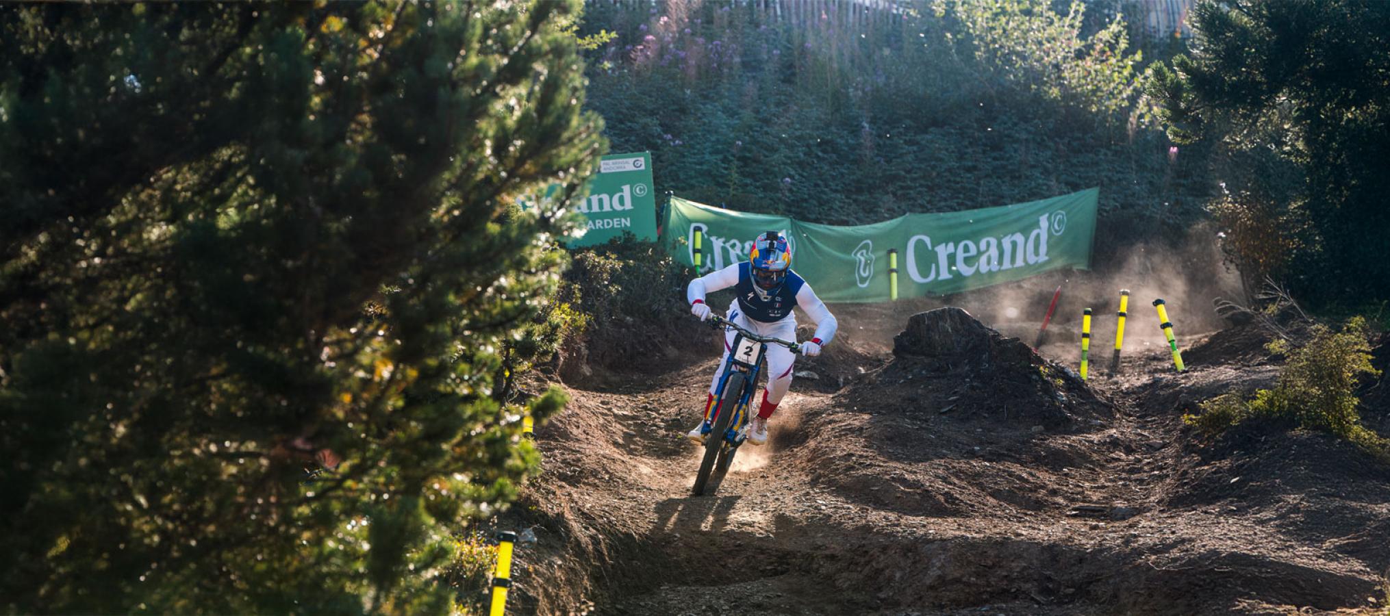 MTB25