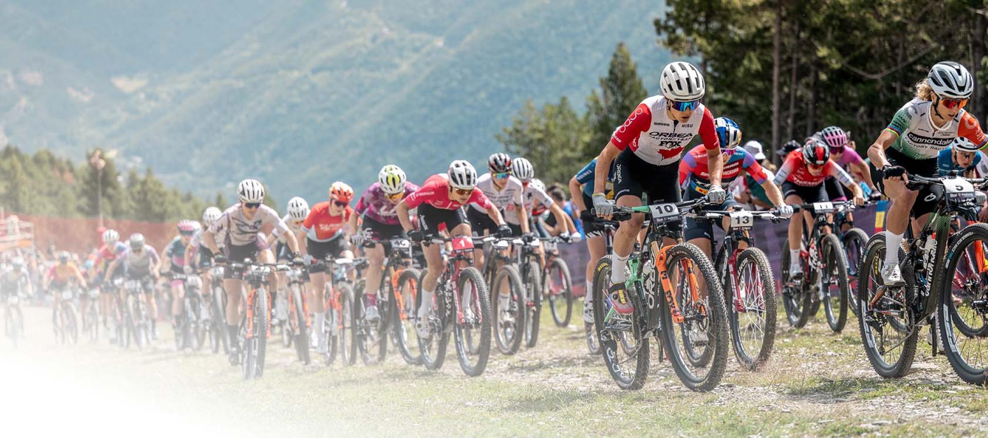 Galeria de imagenes MTB