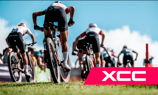 XCC pal arinsal